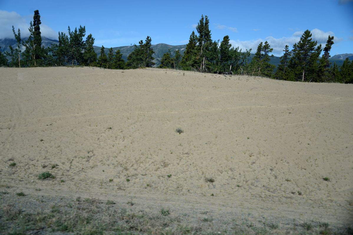 06 Driving By Carcross Desert From Klondike Highway 2 On The Tour From Whitehorse Yukon To Skagway